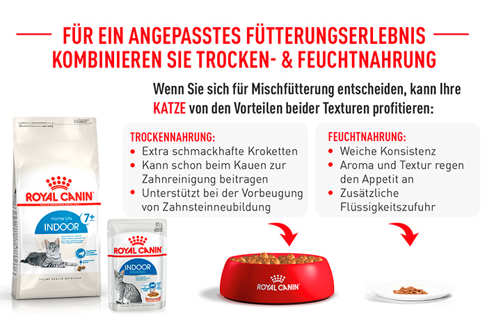 royal_canin_indoor_7-_kombination_trocken_feucht_web.jpg