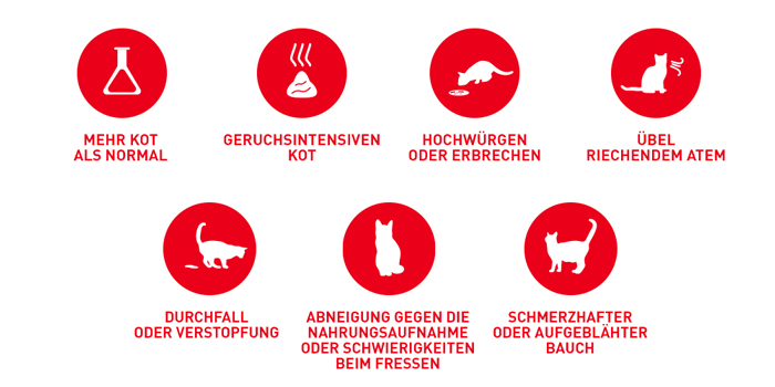 RoyalCanin_FCN_Digestive_Care_Dry_probleme.jpg