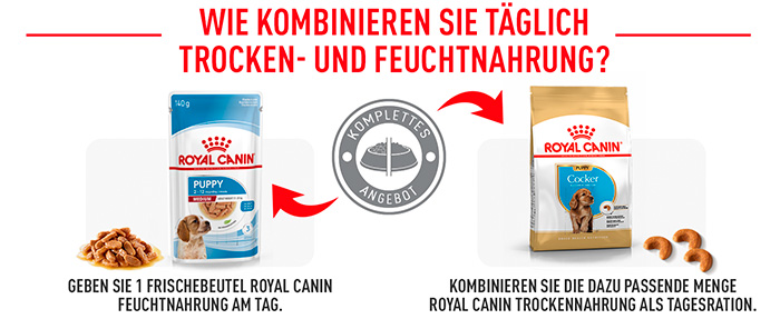 royal-canin-cocker-puppy-module-6.jpg