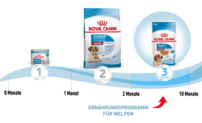royal_canin_hund_medium_puppy_stueckchen_sauce_ernaehrungsprogramm_web.jpg