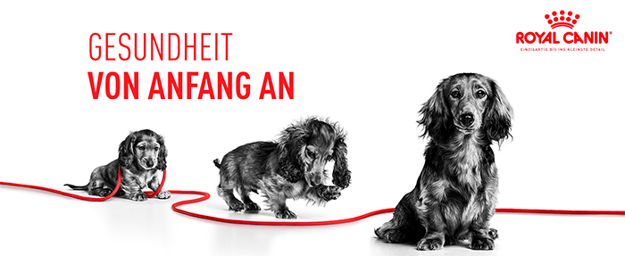 royal_canin_shn_x-small_puppy_von_anfang-an_web.jpg