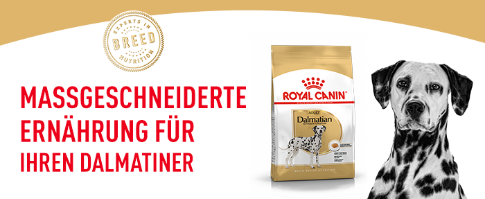 RoyalCanin_BHN_Dalmatian_massgeschneidert.png