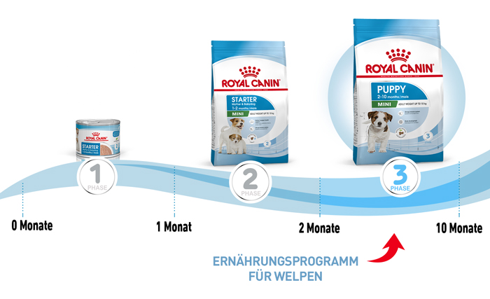 royal_canin_shn_hund_mini_puppy_ernaehrungsprogramm_web.jpg
