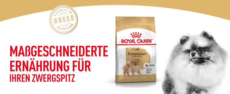 royal_canin_pomeraniant_massgeschneiderte_ernaehrung_web.jpg