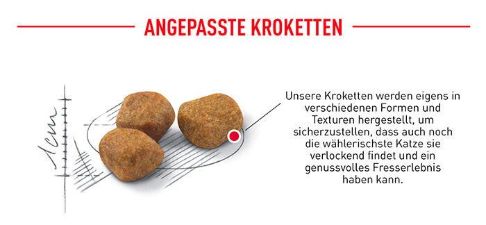 royal_canin_indoor_7-_angepasste_kroketten_web.jpg