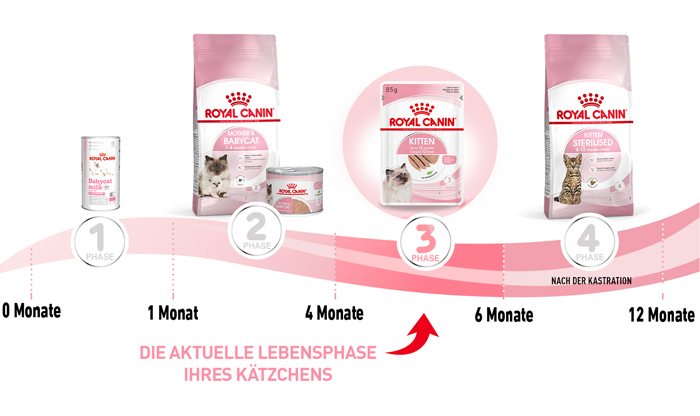 royal_canin_start_of_life_kitten_loaf_aktuelle_lebensphase_web.jpg