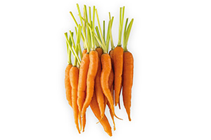 carrots_220401-78792TypUjLwvnjtkG.jpg