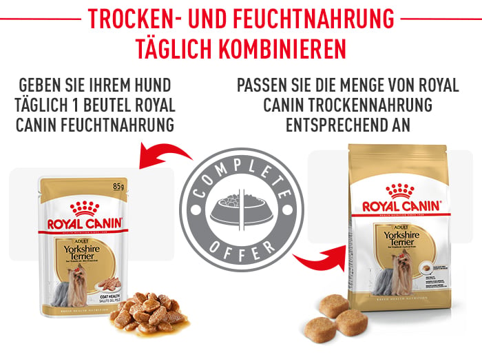 royal_canin_yorkshire_terrier_adult_kombination_feuchtnahrung.jpg