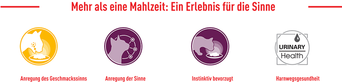 royal_canin_fhn_sensory_wet_nass_taste_gravy_sauce_ein_erlebnis_fuer_die_sinne_web.jpg