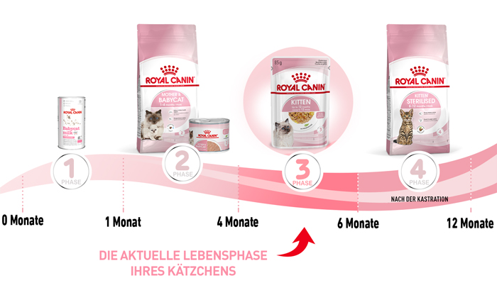 royal_canin_start_of_life_kitten_stueckchen_chunks_in_jelly_lebensphase.jpg