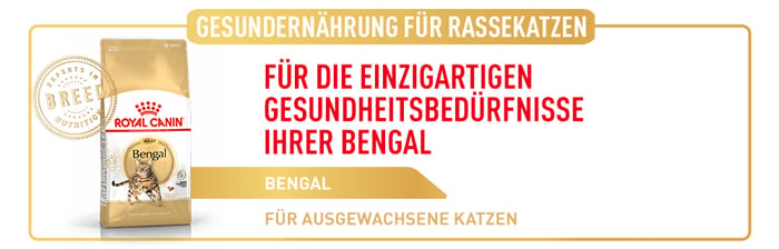 royal_canin_cat_adult_bengal_gesundernaehrung_web_2.jpg