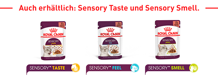 royal_canin_fhn_sensory_wet_feel_nass_jelly_gelee_auch_erhaeltlich_web.jpg