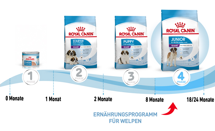 royal_canin_hund_giant_junior_ernaehrungsprogramm_web.jpg