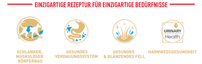 royal_canin_siamese_cat_adult_einzigartige_rezeptur_web_2.jpg