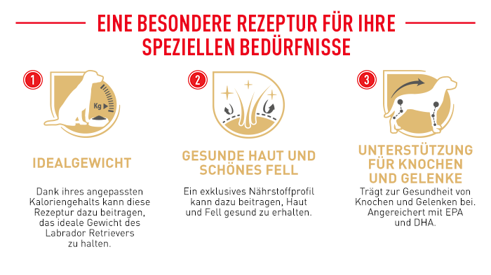 RoyalCanin_BHN_Labrador_Adult_Wet_rezeptur.png