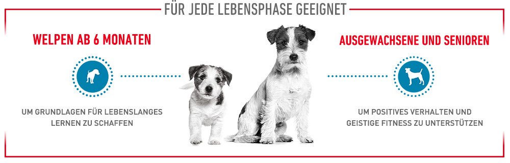 royal-canin-training-treats-fur-jede-lebensphase.jpg