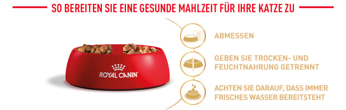 royal_canin_cat_adult_maine_coon_wet_zubereitung_web_2.jpg