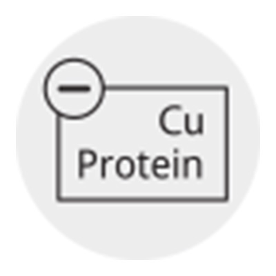 Help_Pikto_Cu-Prot_Liver3abVx3PbLCtVu.jpg
