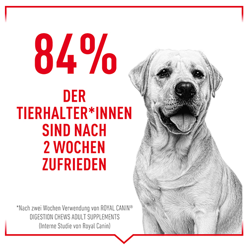 royal_canin_digestion_chews_zufriedenheit_web.jpg