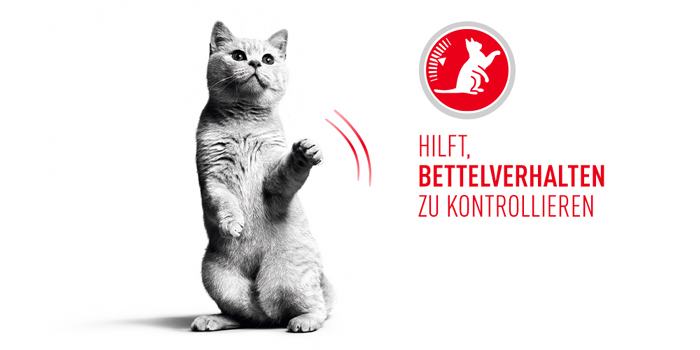 RoyalCanin_FCN_Appetite_Control_Care_Gravy_bettelverhalten.jpg
