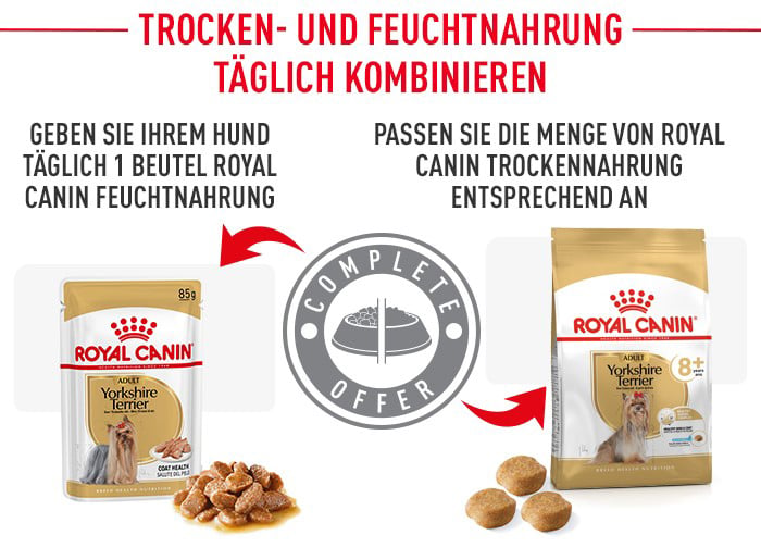 royal_canin_yorkshire_terrier_ageing_kombination_feuchtnahrung.jpg