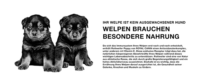 royal-canin-rottweiler-puppy-module-2.jpg