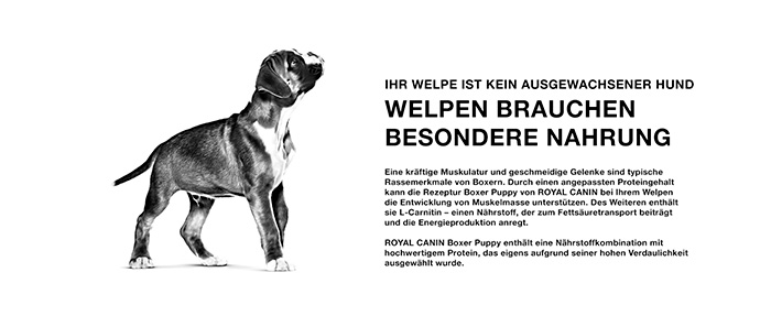royal-canin-boxer-puppy-module-2F4pTe1dIUmXDP.jpg