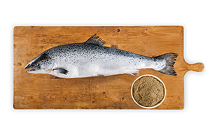 salmon-protein_220401-79063DjZtUK5wgb4oF.jpg
