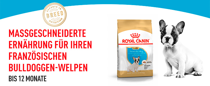 royal-canin-french-bulldog-puppy-module-1.jpg
