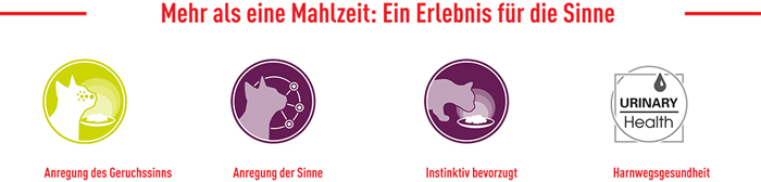royal_canin_fhn_sensory_wet_nass_smell_gravy_sauce_ein_erlebnis_fuer_die_sinne_web.jpg