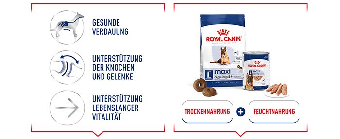 shn-maxi-ageing-wet-loaf-de-module-3.jpg