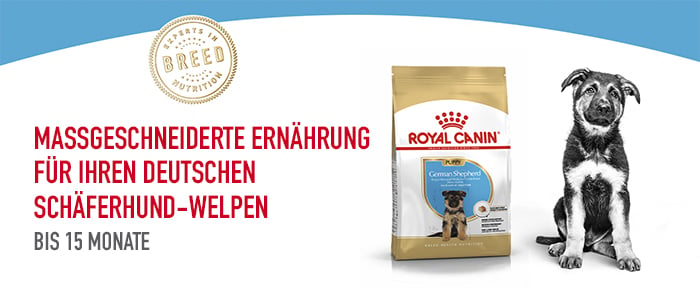 royal_canin_german_shepherd_puppy_rassegerechte_ernaehrung.jpg