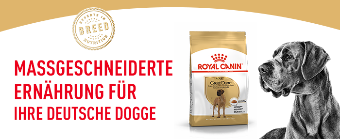 RoyalCanin_BHN_Great-Dane_massgeschneidert.png