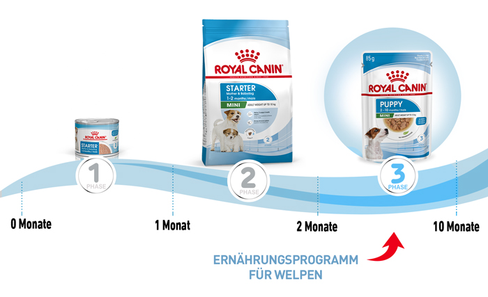 royal_canin_shn_hund_mini_puppy_stueckchen_sauce_ernaehrungsplan_web.jpg