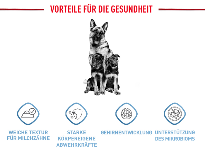 royal_canin_shn_hund_maxi_puppy_chunks_gravy_sauce_vorteile_web.jpg