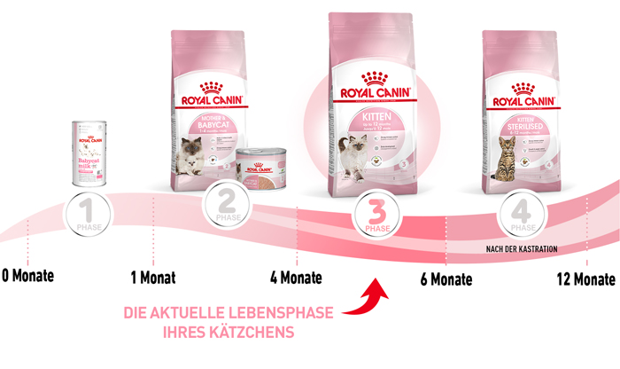 royal_canin_start_of_life_kitten_trockenfutter_aktuelle_lebensphase_web.jpg