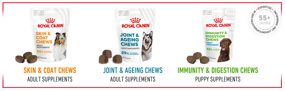 royal_canin_digestion_chews_Futterlinie_web.jpg