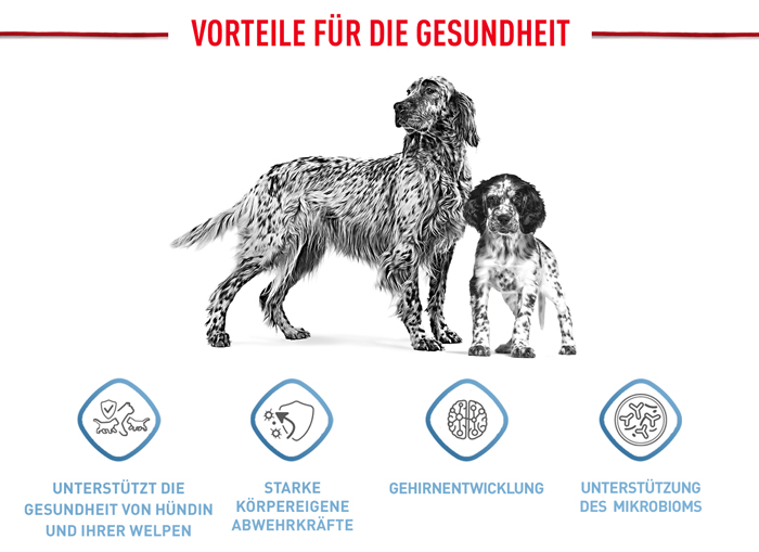 royal_canin_shn_hund_medium_starter_vorteile_web.jpg