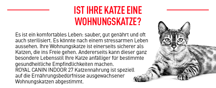 royal_canin_katze_fhn_indoor_wet_nass_wohnungskatzen_web.jpg