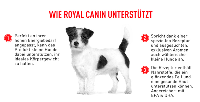 royal_canin_shn_mini_adult_wie_unterstuetzt-_web.jpg