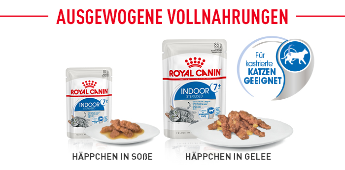 royal_canin_fhn_indoor_sterilized_7-gelee_ausgewogene_vollnahrung_web.jpg