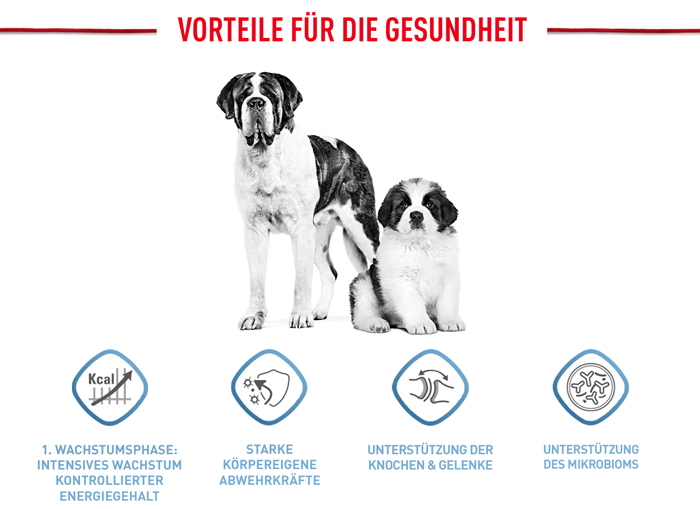 royal_canin_hund_giant_puppy_vorteile_web.jpg