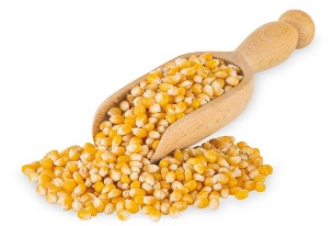josera-mais.jpg