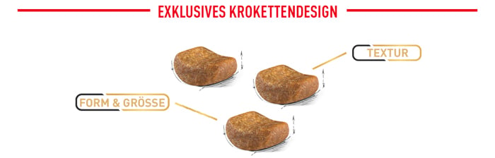 royal_canin_cat_adult_british_shorthair_exklusives_krokettendesign_web_2.jpg