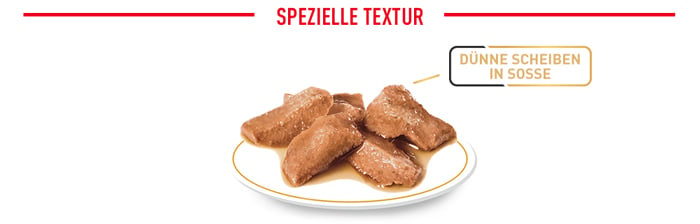 royal_canin_cat_adult_maine_coon_wet_spezielle_textur_web_2.jpg