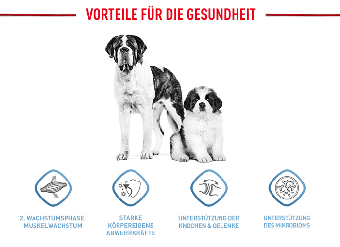 royal_canin_hund_giant_junior_vorteile_web.jpg