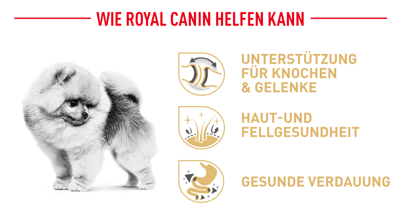 royal_canin_pomeranian_beste_hilfe_web.jpg