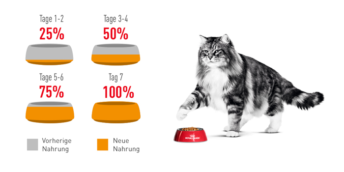 RoyalCanin_FCN_Hair-Skin_Care_Gravy_umstellung.jpg