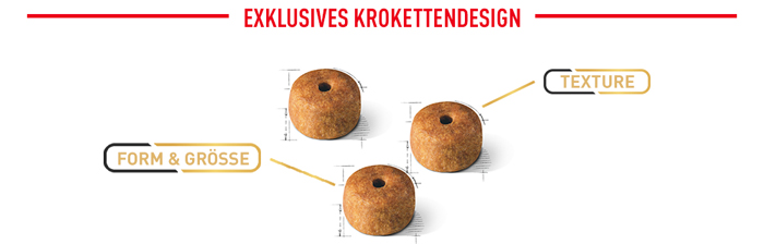 royal_canin_siamese_cat_adult_exklusives_krokettendesign_web_2.jpg