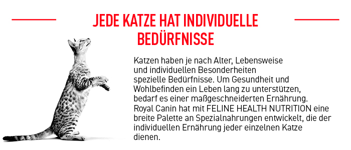 royal_canin_katze_fhn_indoor_trockenfutter_individuelle_beduerfnisse_web.jpg